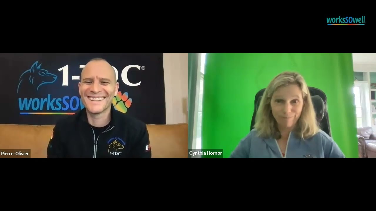 Cynthia Hornor: Champion Agility Trainer Shares Her Journey and Insights
