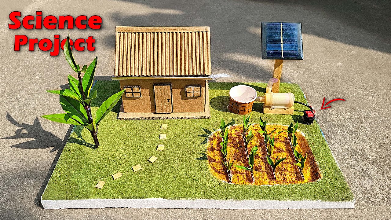 Science Project Working Model - Natural Farming | Science exhibition project for school | 2025