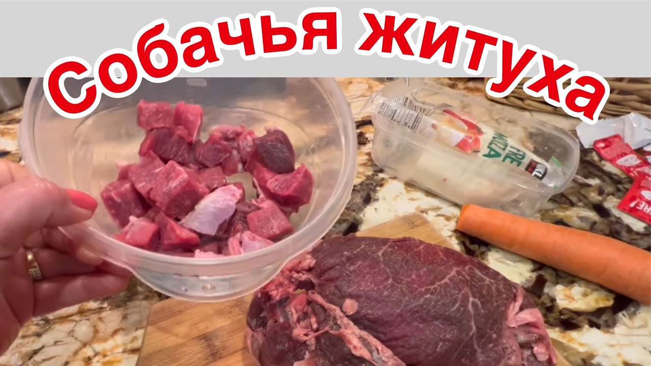 Готовлю Ужин  ..Все Лучшее для НЕГО любимого …Что ест мой ПЕС 🐕 