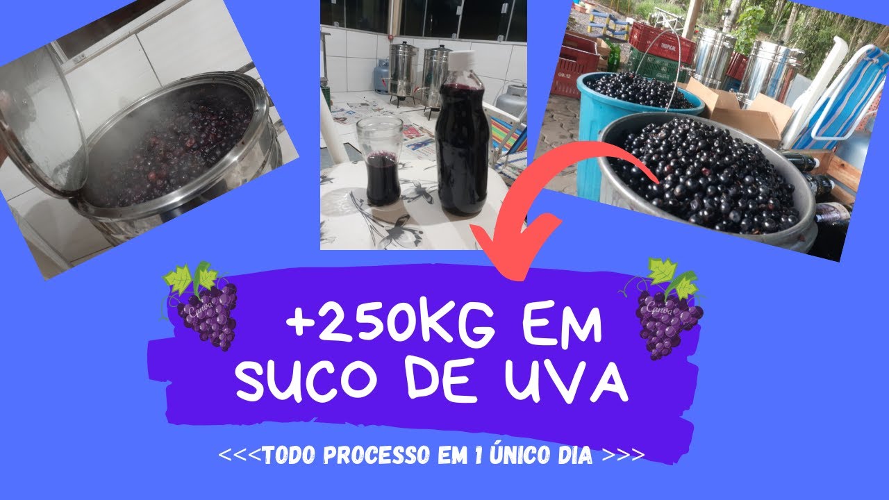 Fizemos +250kg de Uva Bordô em Suco | Processo em 1 único DIA |