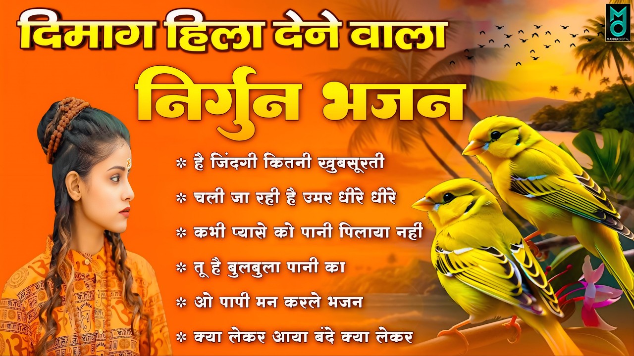 दिमाग हिला देने वाला निर्गुण भजन | Nonstop Nirgun Geet | Chetawani Bhajan 2026 | Nirgun Bhajan 2026