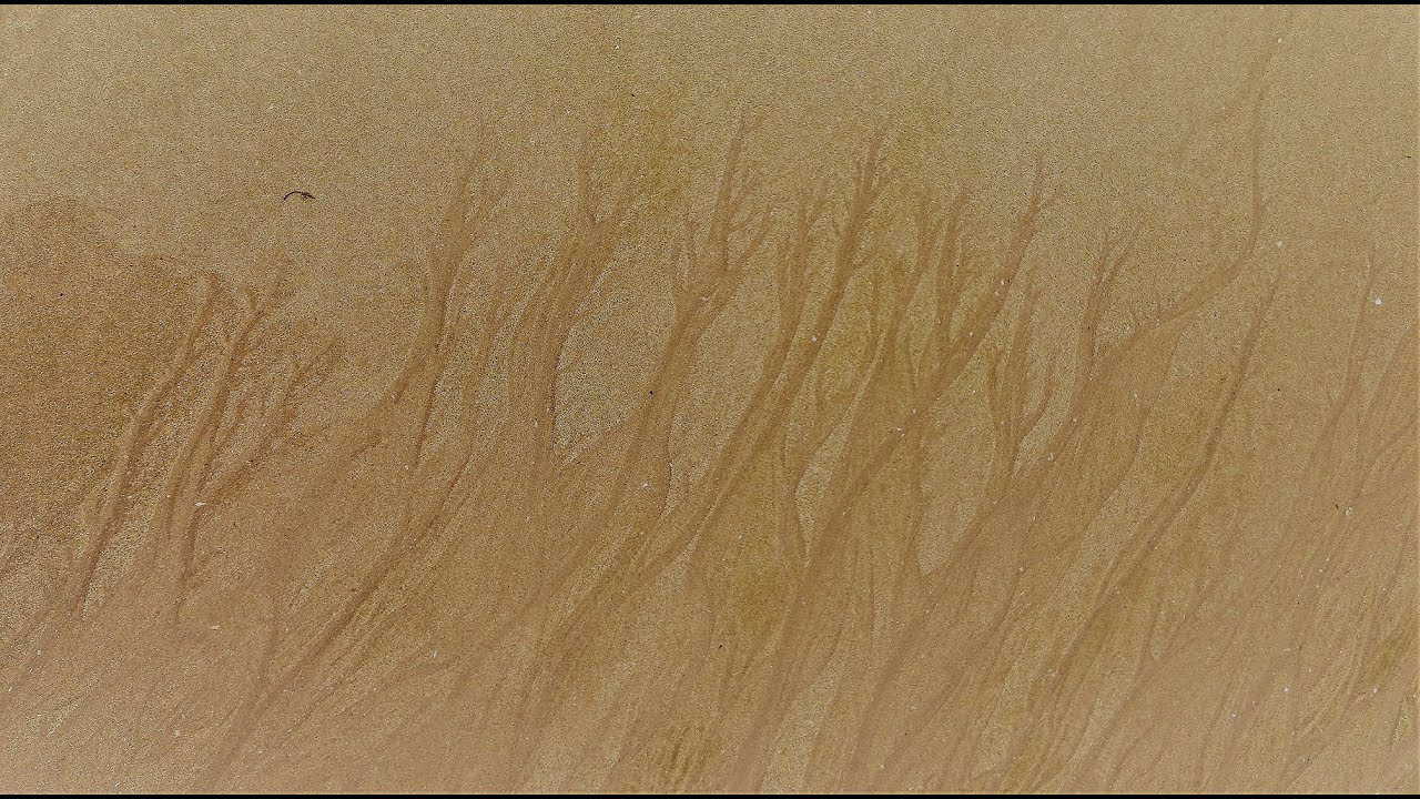Henri Michaux / La Ralentie
