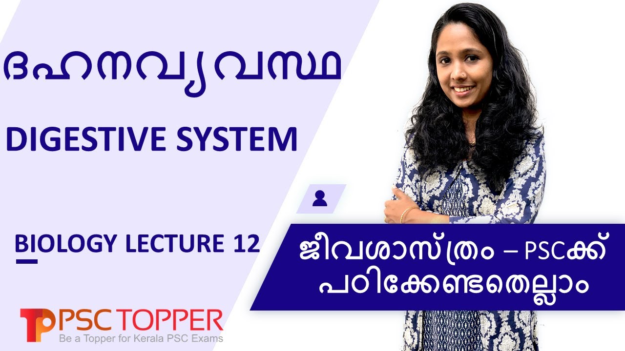 PSC Biology – Digestive System | Important & Repeated Questions | Kerala PSC | Rank making Questions