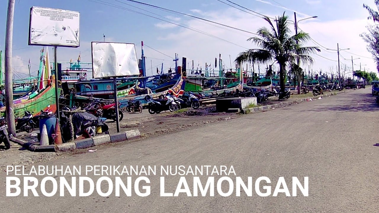 PELABUHAN PERIKANAN NUSANTARA BRONDONG LAMONGAN | WBA | TPI BRONDONG | MOTOVLOG