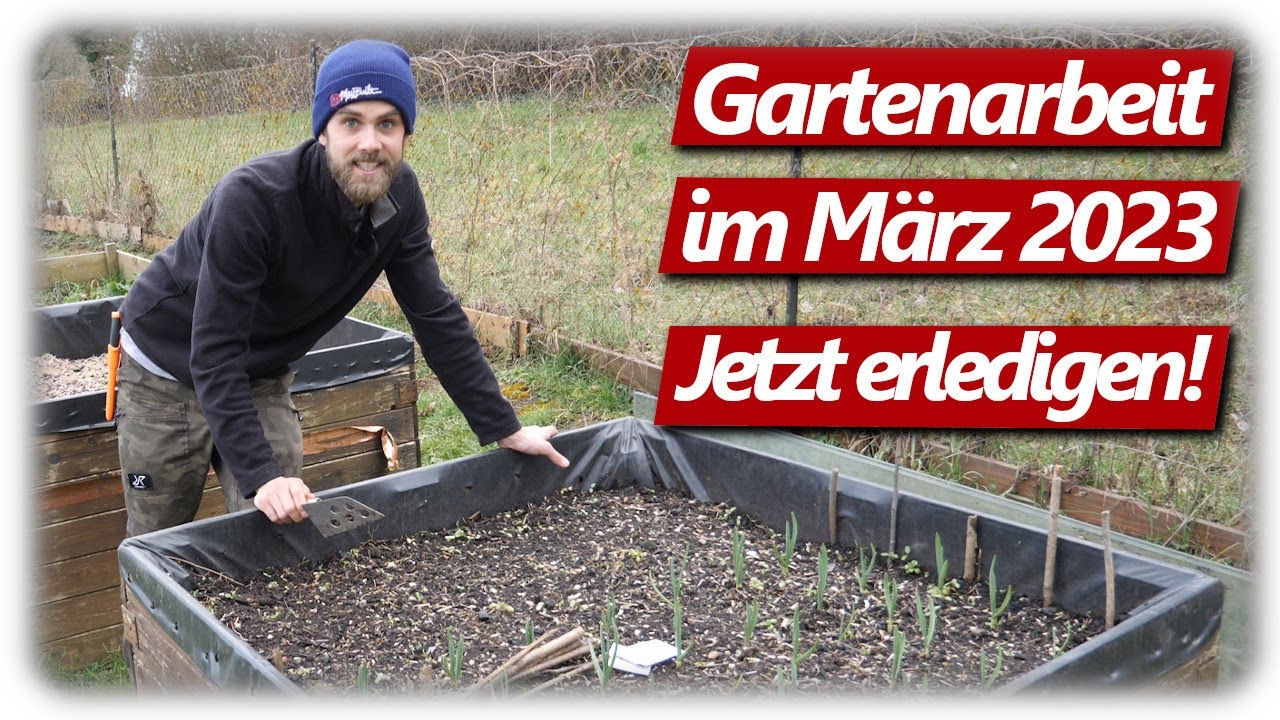 Gartenarbeit März | Möhren Aussaat, Lavendelschnitt, Beerenobst pflanzen, Steckzwiebeln anbauen
