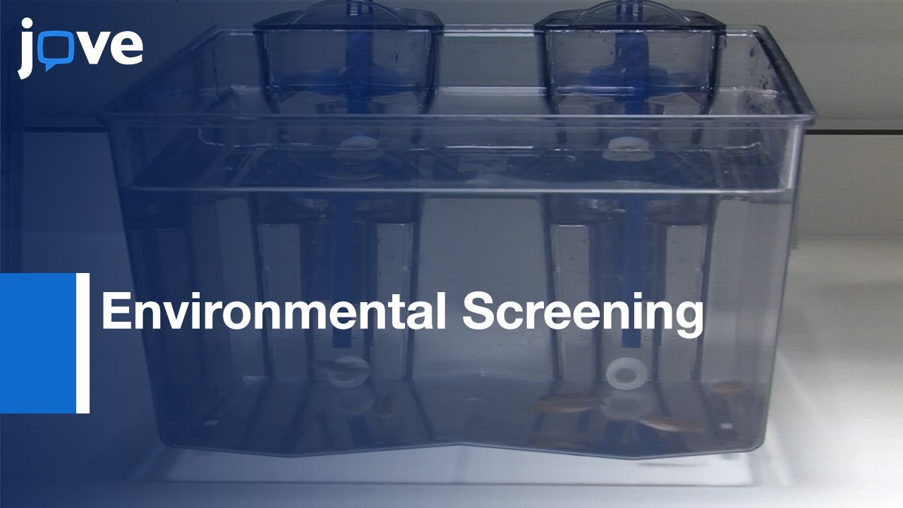 Aeromonas hydrophila,Mycobacterium spp., & Pseudocapillaria tomentosa- Zebrafish Systems-Preview