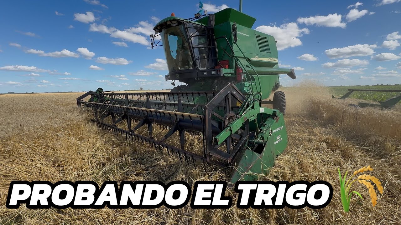 NO para de LLOVER y no PODEMOS COSECHAR el TRIGO y SEMBRAR SOJA 🤦🏻‍♂️😬