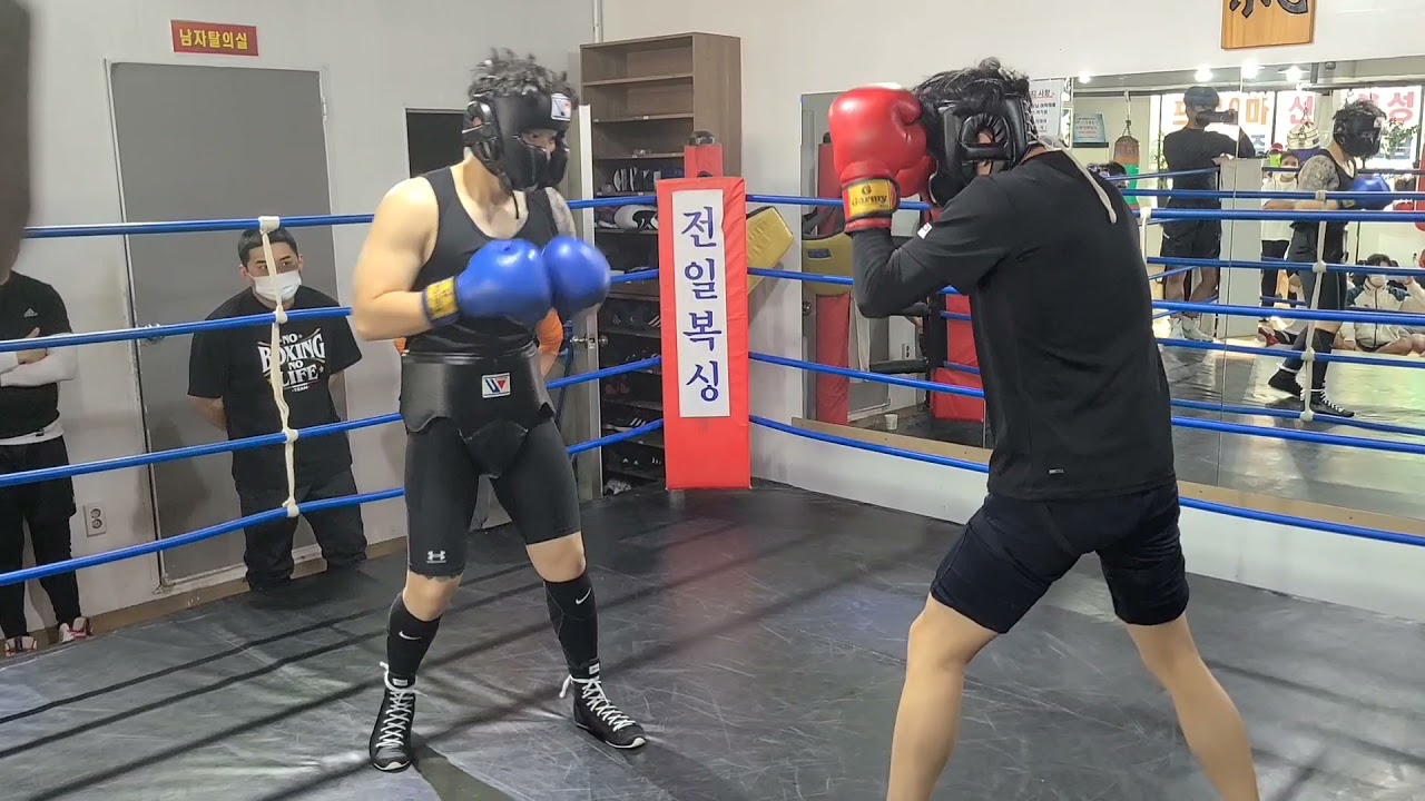 스파링데이 강챔프 & 장민혁선수