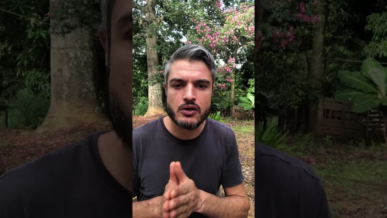 ALIMENTAR DE FORMA PASSIVA PARA O CÃO É O PIOR VENENO PARA A SAÚDE