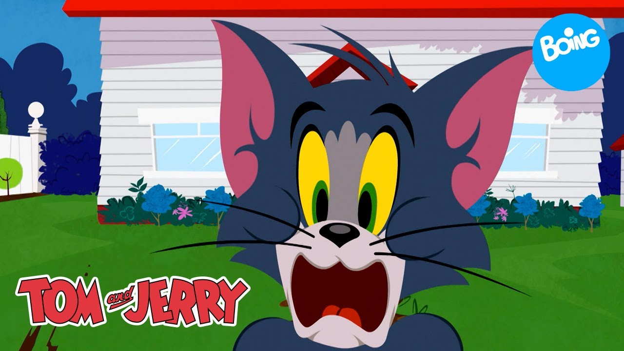 El show de Tom y Jerry | La gran caza del gato y el ratón | Boing