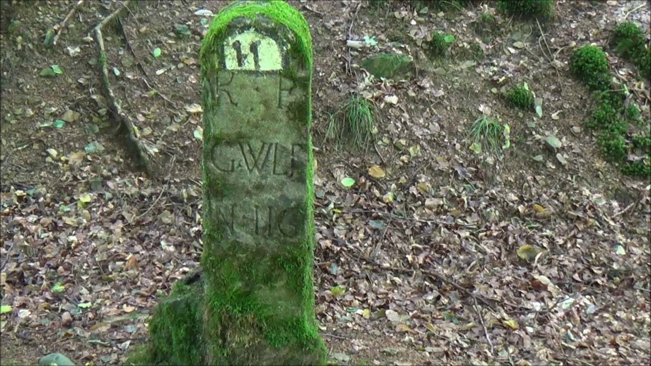 Kalteiche