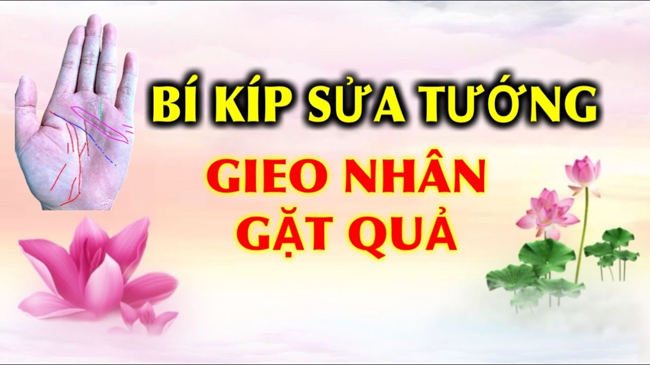 b&iacute; k&iacute;p sửa tướng giao nh&acirc;n gặt quả