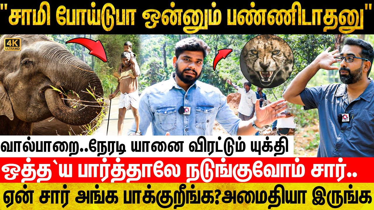 அவன் எங்கிருந்து வருவான்னு தெரியாது,வந்தா எதுவும் நடக்கும் சார்😱-வால்பாறை வாழ்க்கை..| Valparai Wild