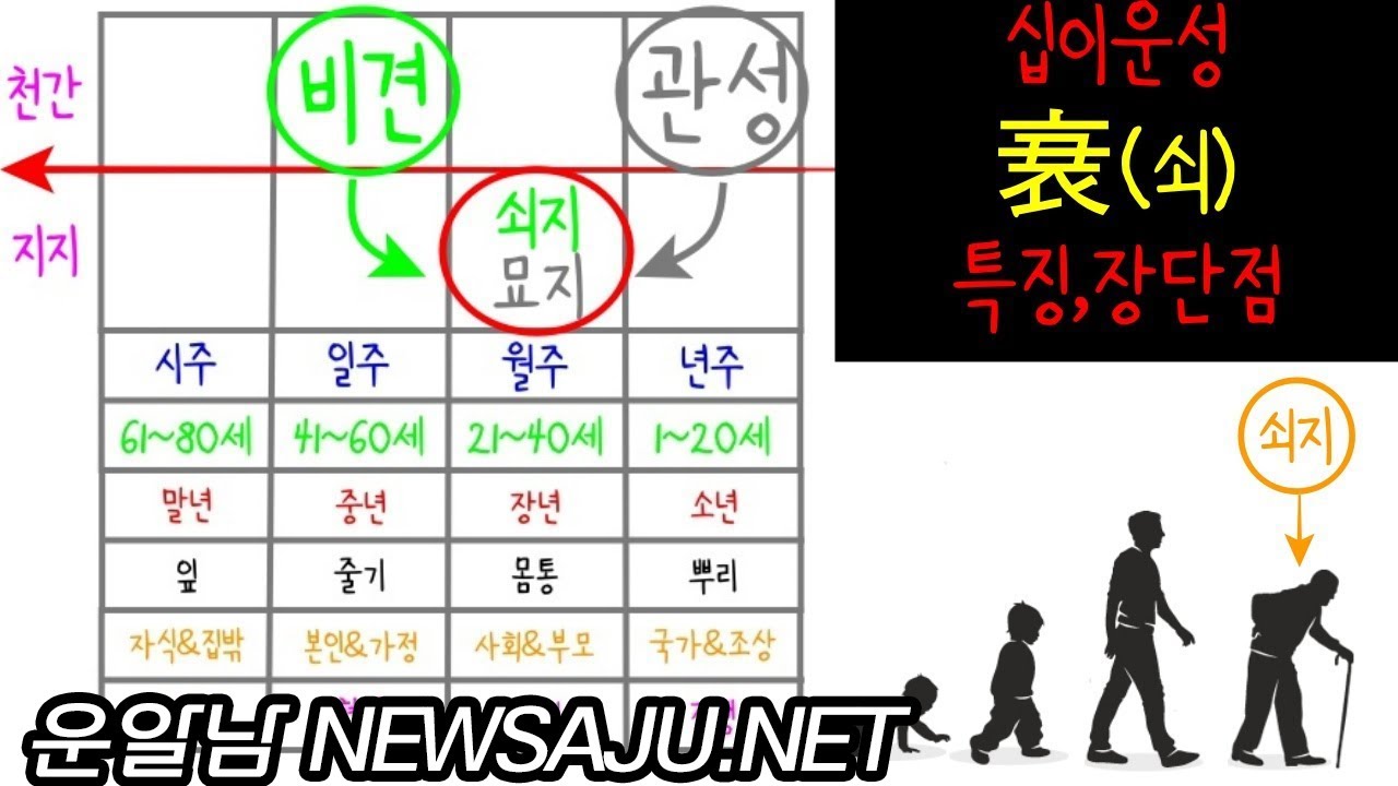 십이운성 쇠(衰) 특징, 장단점 쇠지는 신사임당(지혜, 총명)