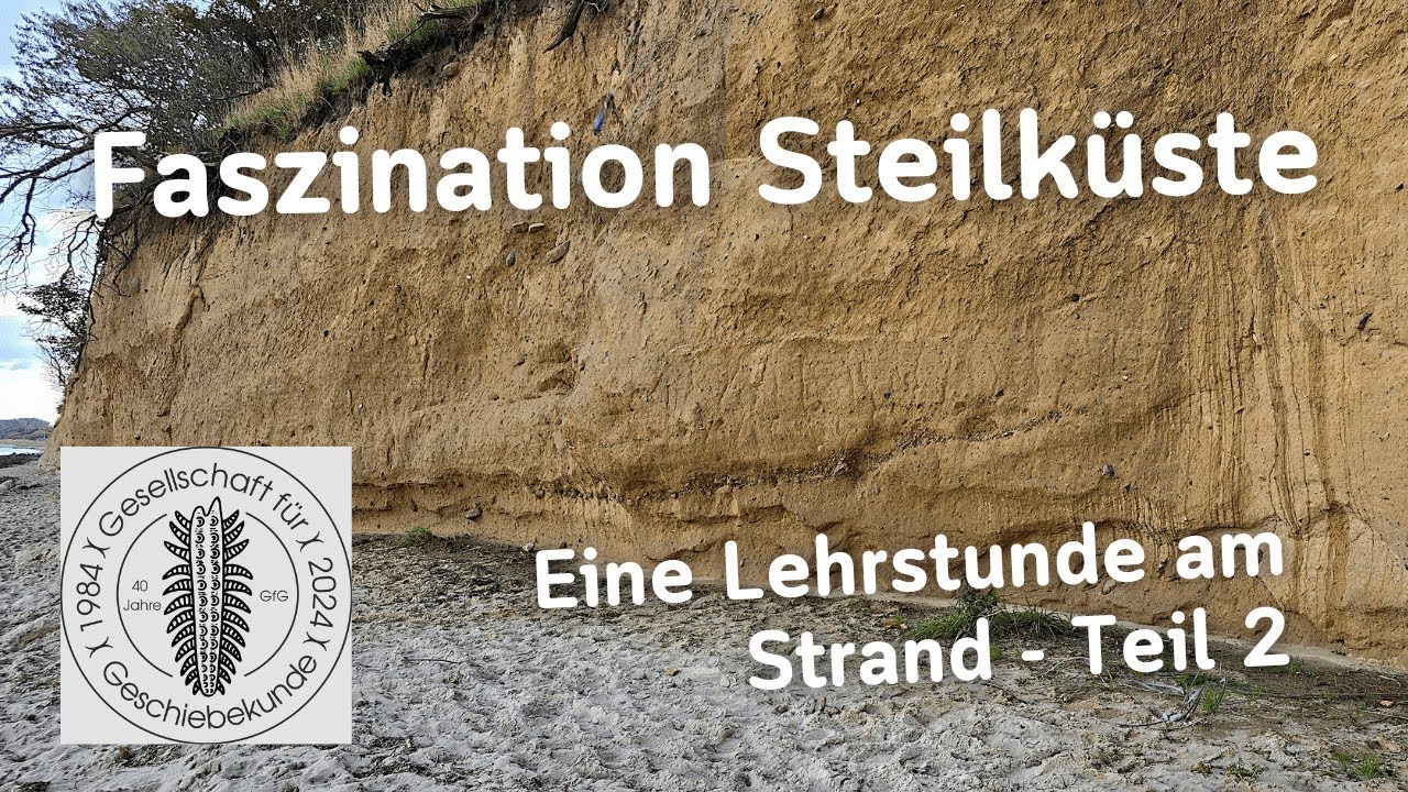 Faszination Steilk&uuml;ste - Fossilien suchen an der Ostsee