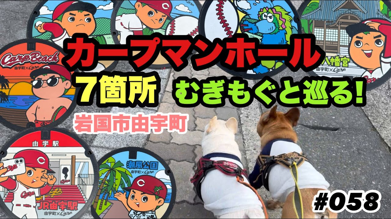 カープマンホール7箇所コンプリート🕳️フレブルむぎもぐ