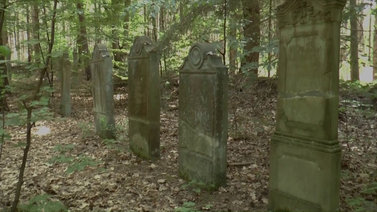 Spaziergang in der.. Wingst 2.Teil `Wasserwerk + Judenfriedhof