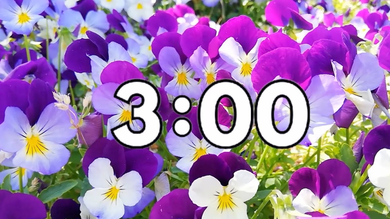 3 Minute Spring Countdown Timer - Calming Music