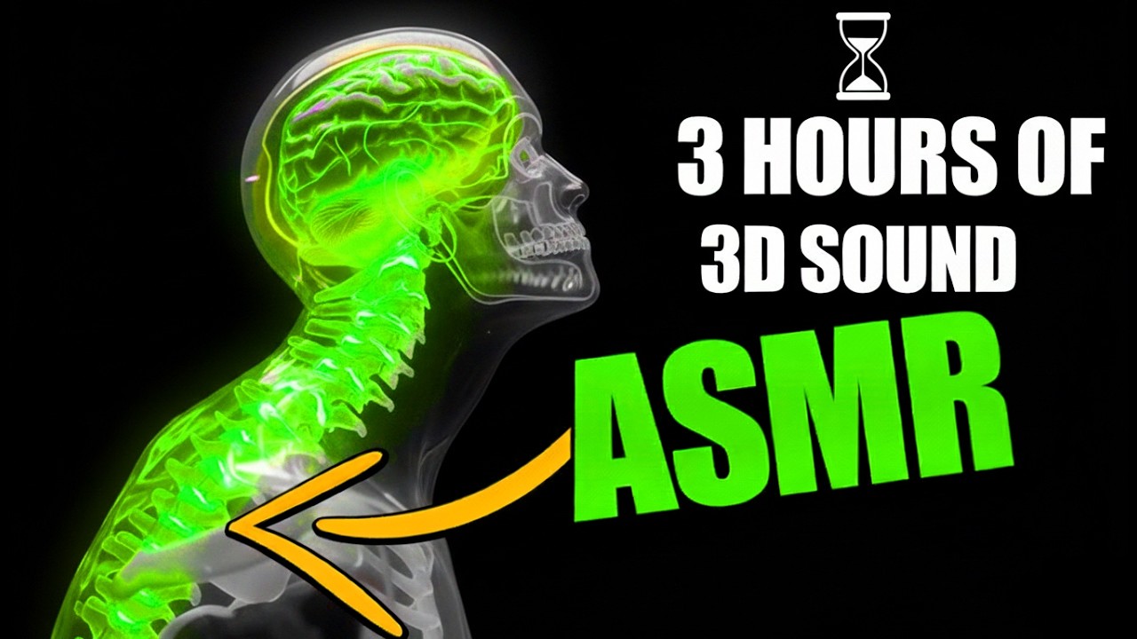 3 Hours of 3D ASMR: Reset Your Brain Waves (Wear Headphones)