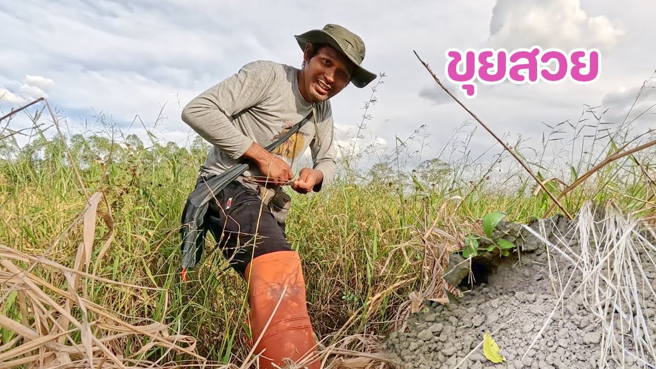 เดินมาเจอหนูขุยนี้ ลูบปากรอเลย ทางงามมาก แบบนี้ไม่น่าพลาด