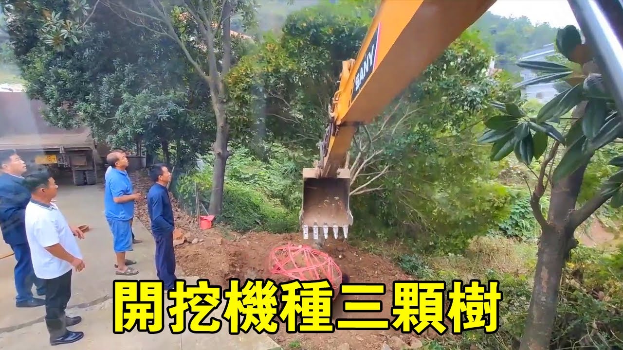 東家叫了五台挖機種樹沒人來，陳師傅本想賺個油錢，沒想到被上了一課！【陈师傅开挖机】