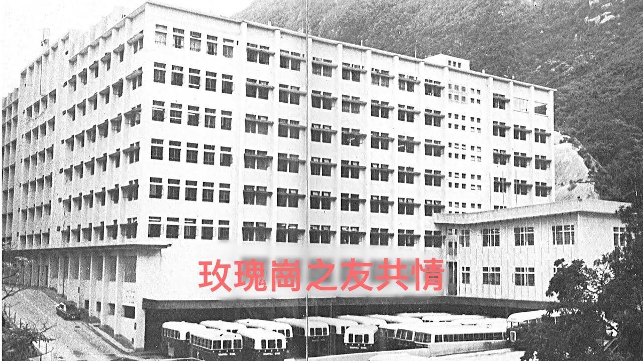 玫瑰崗之友共情 / 插曲：古巨基