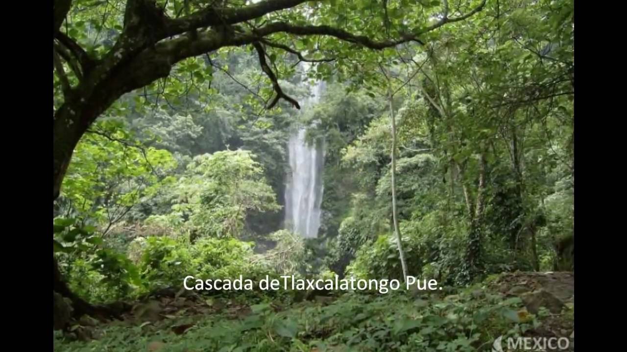 Bellas Cascadas de Mexico.wmv
