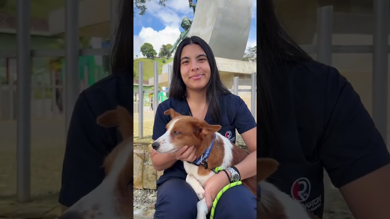 Día Mundial de la Esterilización Animal