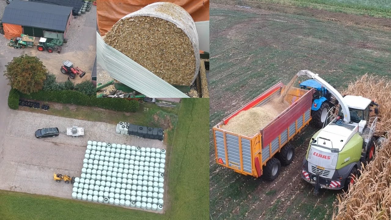 Chopping corn & silage baling!