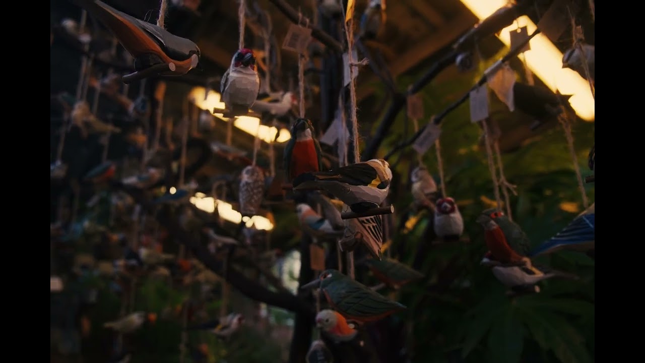 Cinematic Paris Flowers - Fuji X-S20 Test
