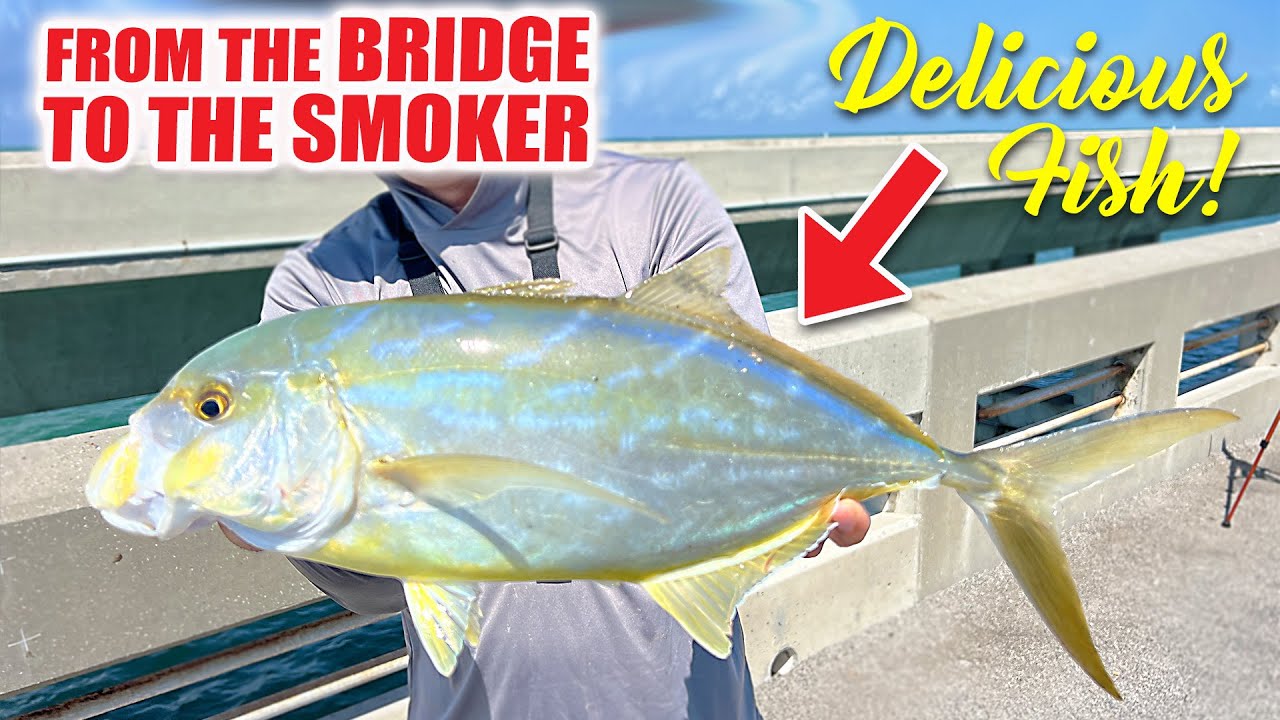 Bridge Fishing in Florida Keys Snapper & Yellow Jacks | Monster Mike Fishing with @BryanTheCEO