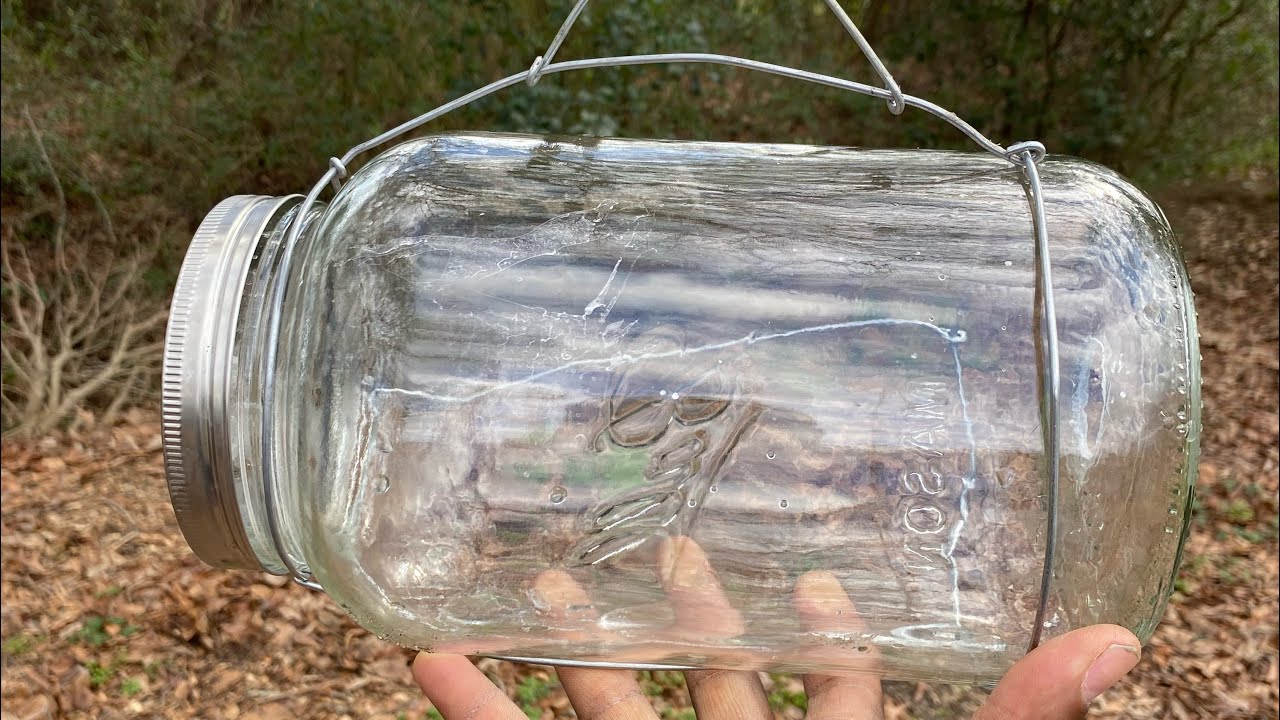 DIY glass minnow trap!