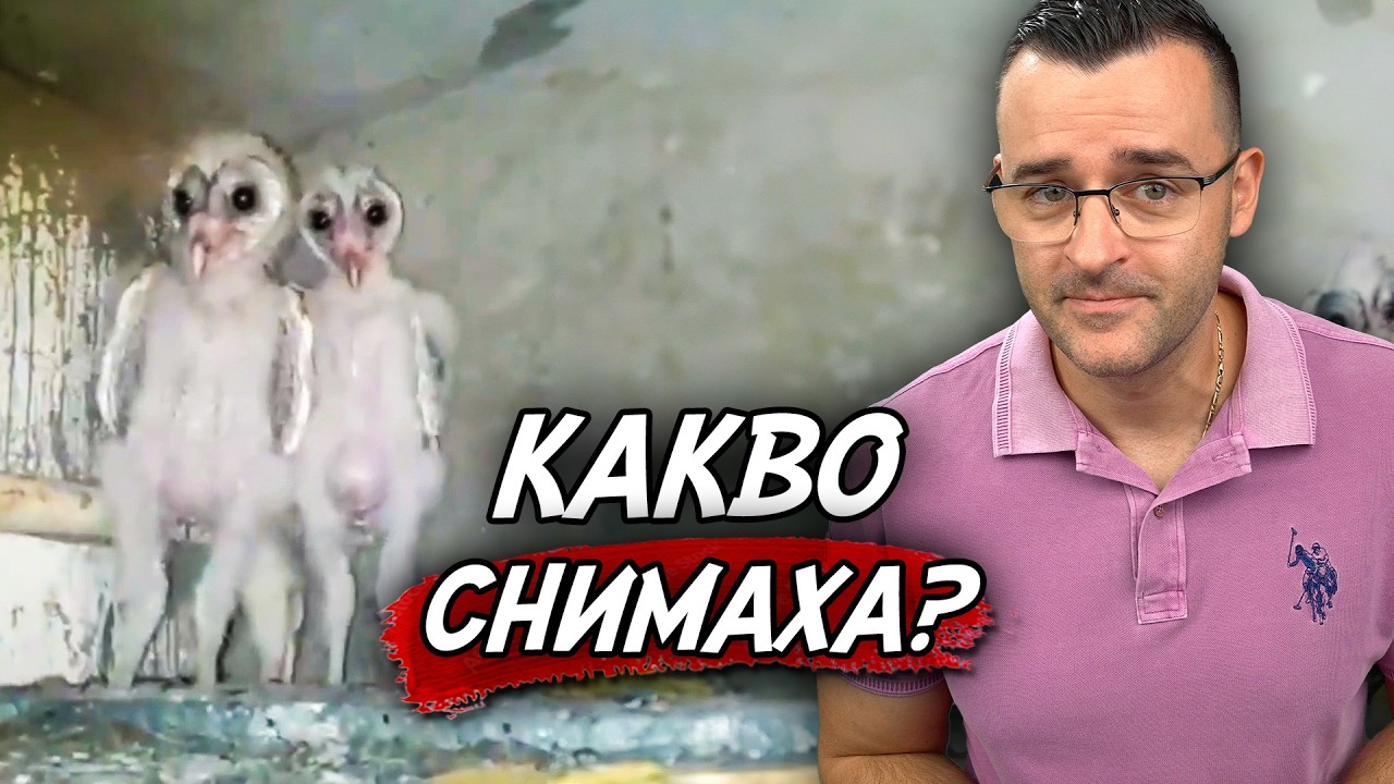 30 СТРЯСКАЩИ СРАВНЕНИЯ