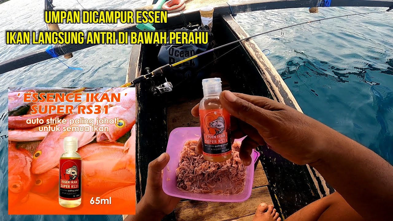 Mudahnya Dapat Ikan kalau Umpan Dicampur Essen - Mancing Dasaran
