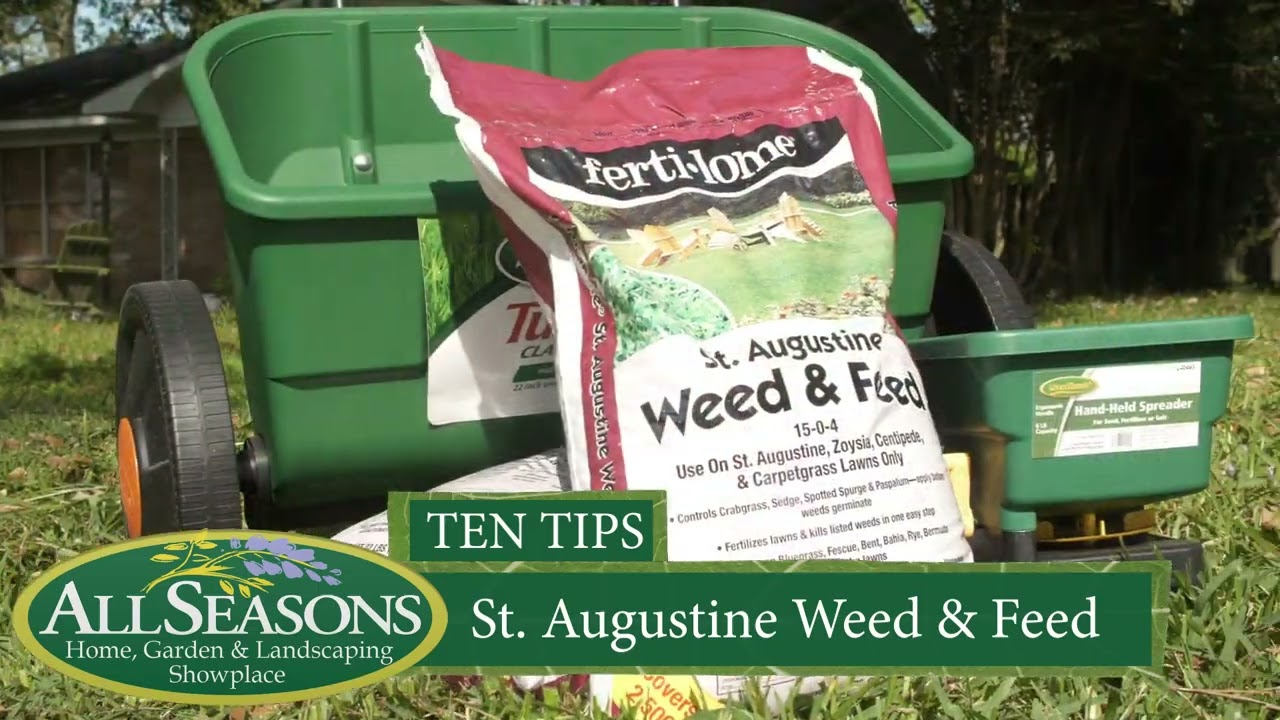 St Augustine Weed and Feed for Lawn