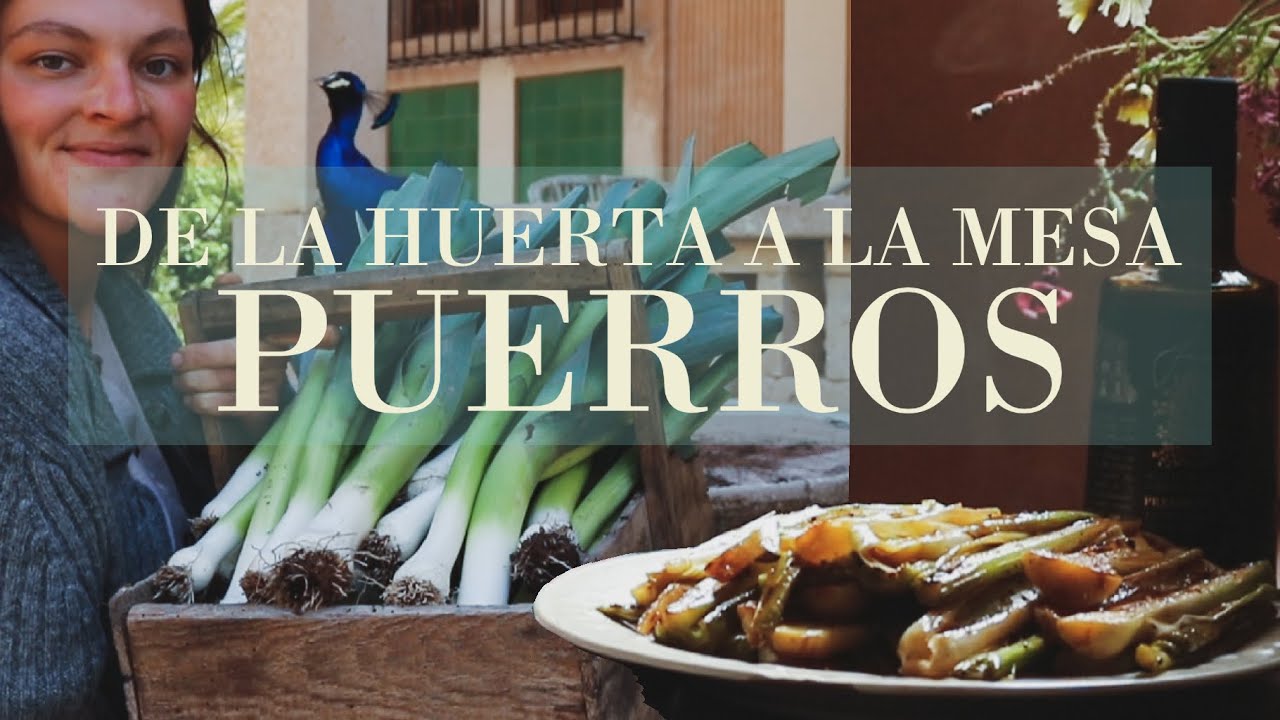 Puerros: de la Huerta a la Mesa - el cultivo, la cosecha y receta de puerros caramelizados