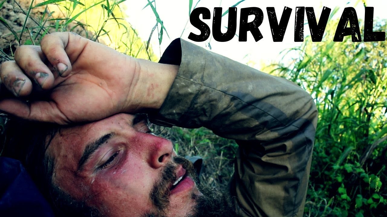 From Gran Chaco to Pantanal: just trying to reach my destination alive
