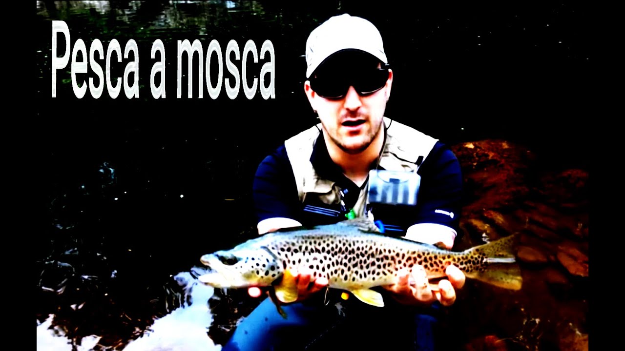 pesca de truchas a mosca en Navarra