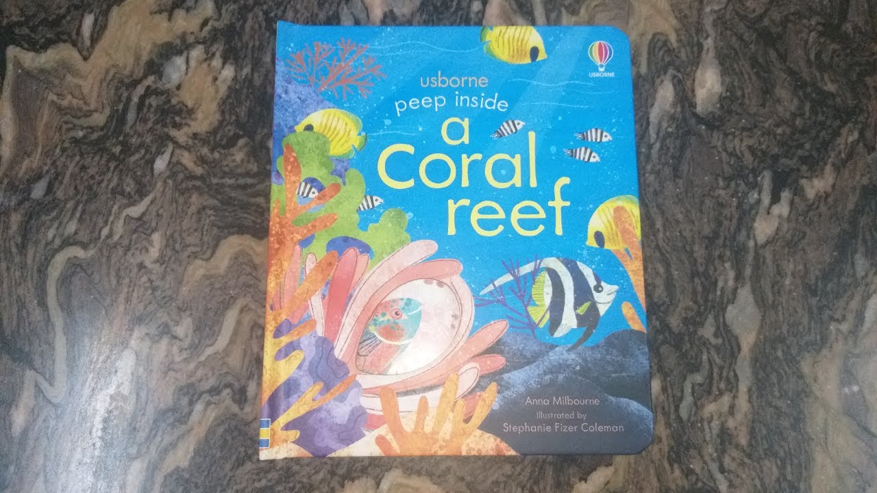 USBORNE BOOKS/ Usborne 