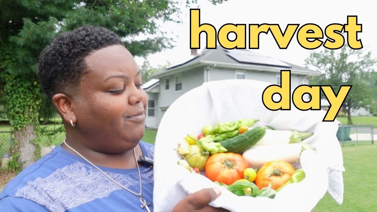 AMAZING Garden Harvest and Taste Test!! Tomatoes🍅  Peppers🌶️ Berries🫐 Herbs🌿AND MORE!!