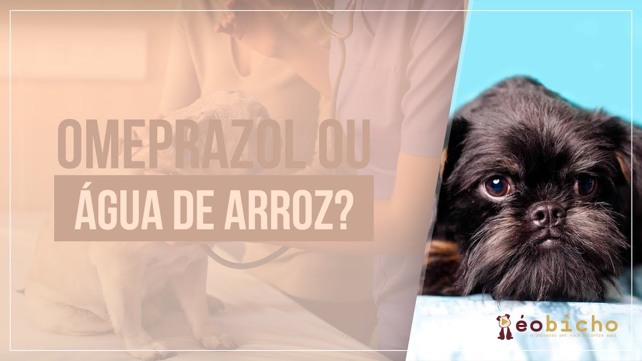 Vômito crônico: Omeprazol e Água de arroz?