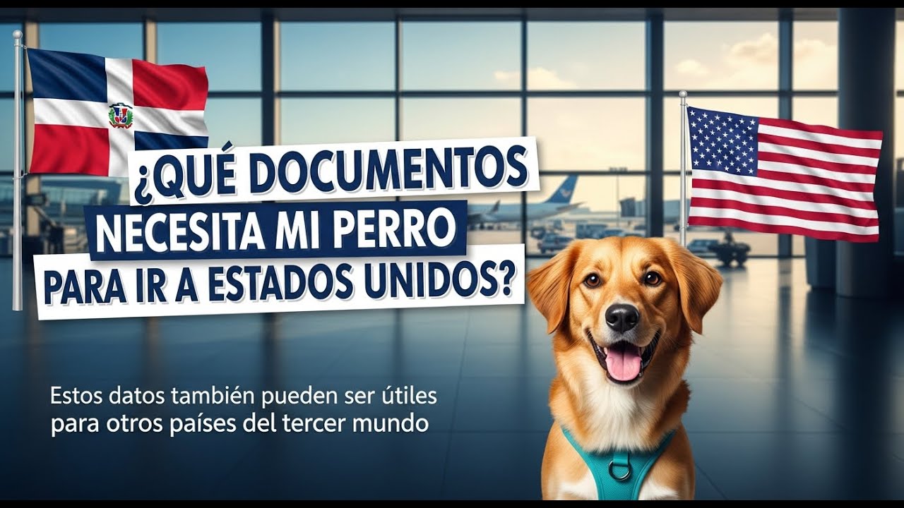 Cómo llevar un perro de República Dominicana a Estados Unidos 🇩🇴✈️🇺🇸 | Requisitos CDC 2025