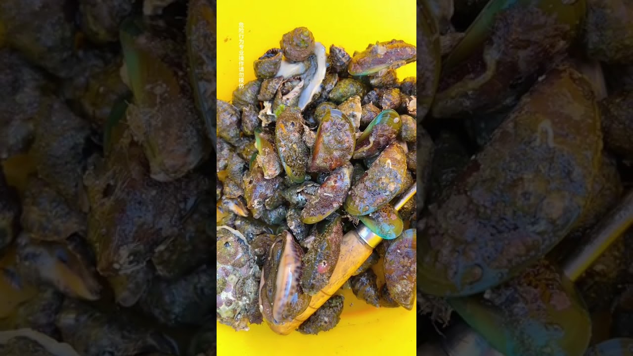 Crispy Pork Snail Delight: Uncover the Meaty Surprise