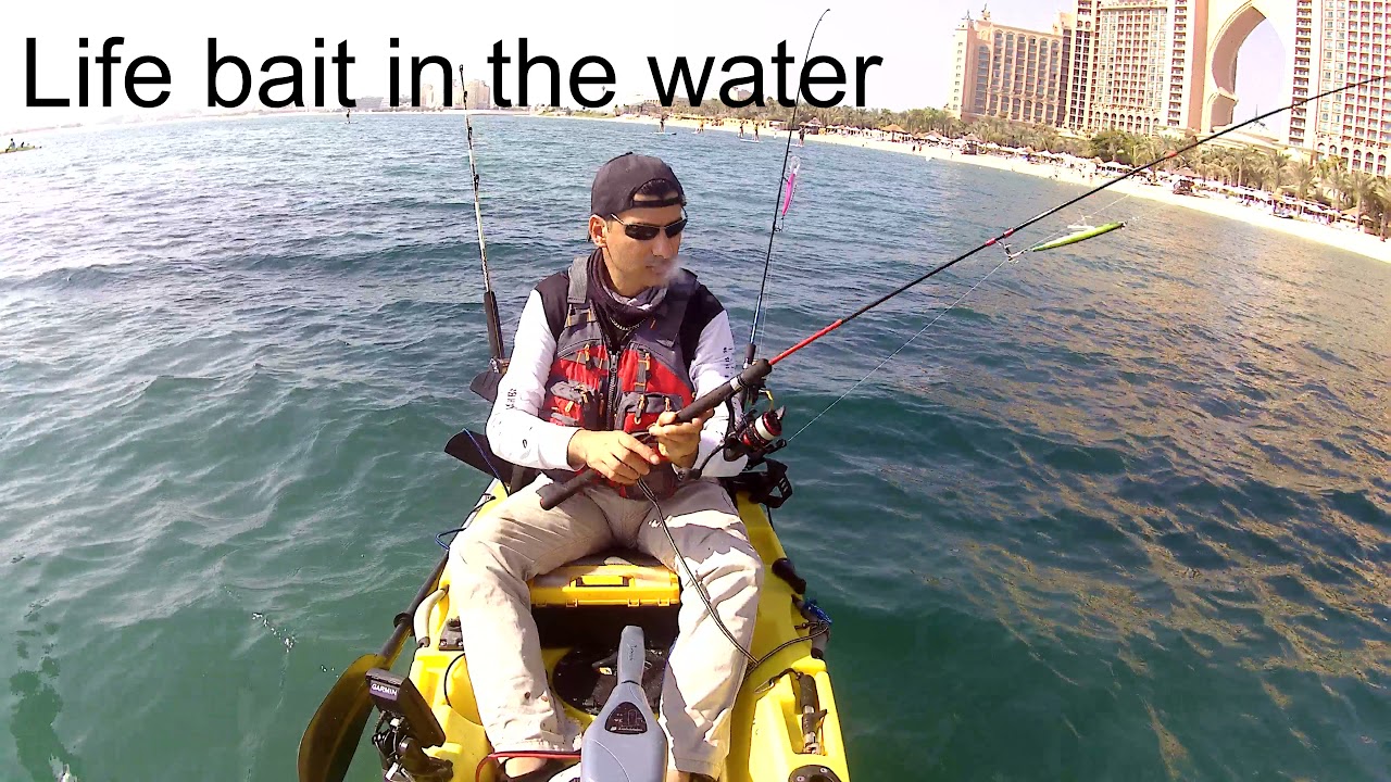 kayak fishing in palm jumeirah dubai