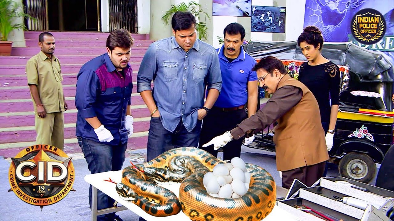 Mumbai में मिले 2 मुँह वाले सांप को CID ने किया Rescue | Best of CID | सी.आई.डी |Latest Full Episode