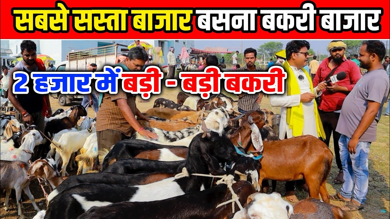 2000 में देशी बकरी का सबसे सस्ता बाजार 