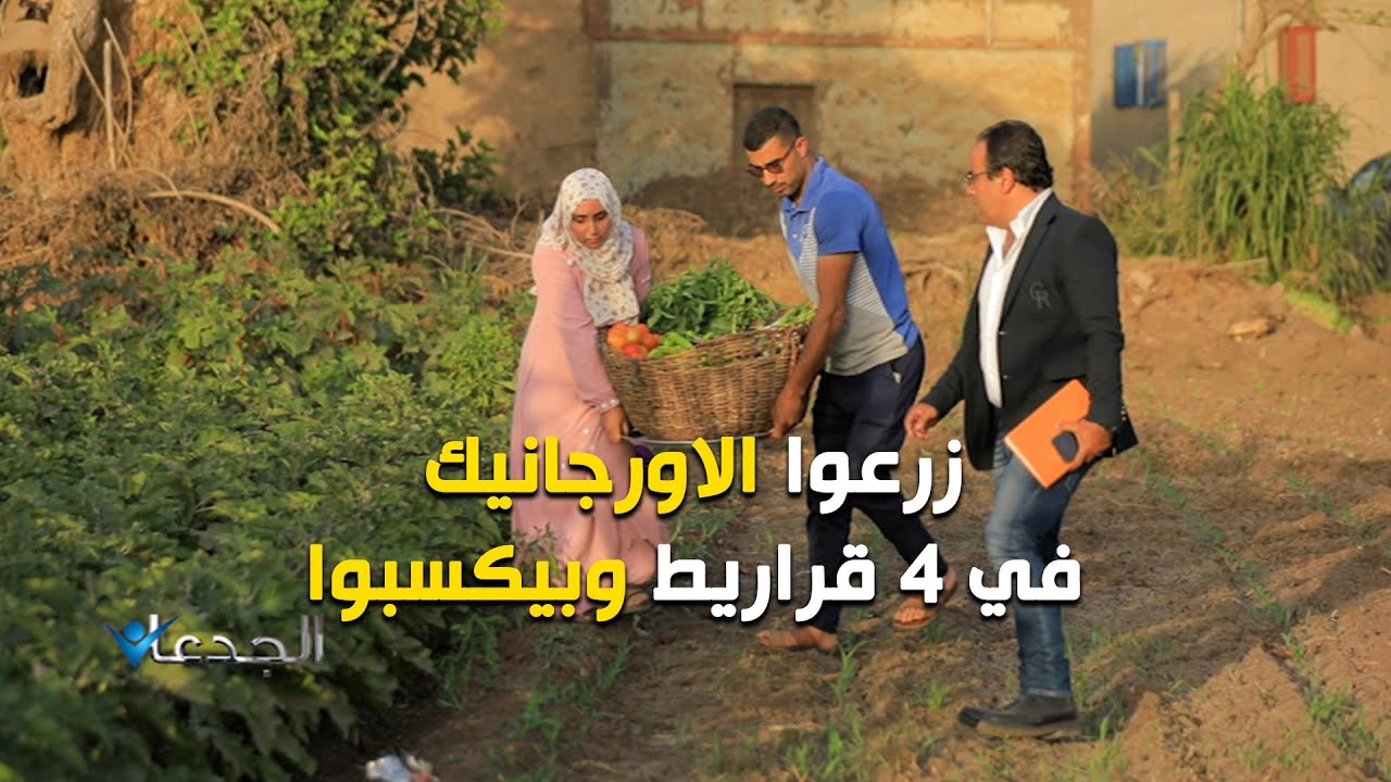 عمرو وهدير.. زرعوا الأورجانيك في ٤ قراريط وبيكسبوا .. وزرعهم محجوز لأسابيع
