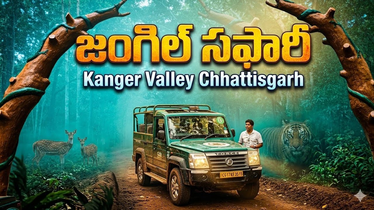 Jungle safari|kanger valley|National park| #kanger valley #nigerValleyvlogs 