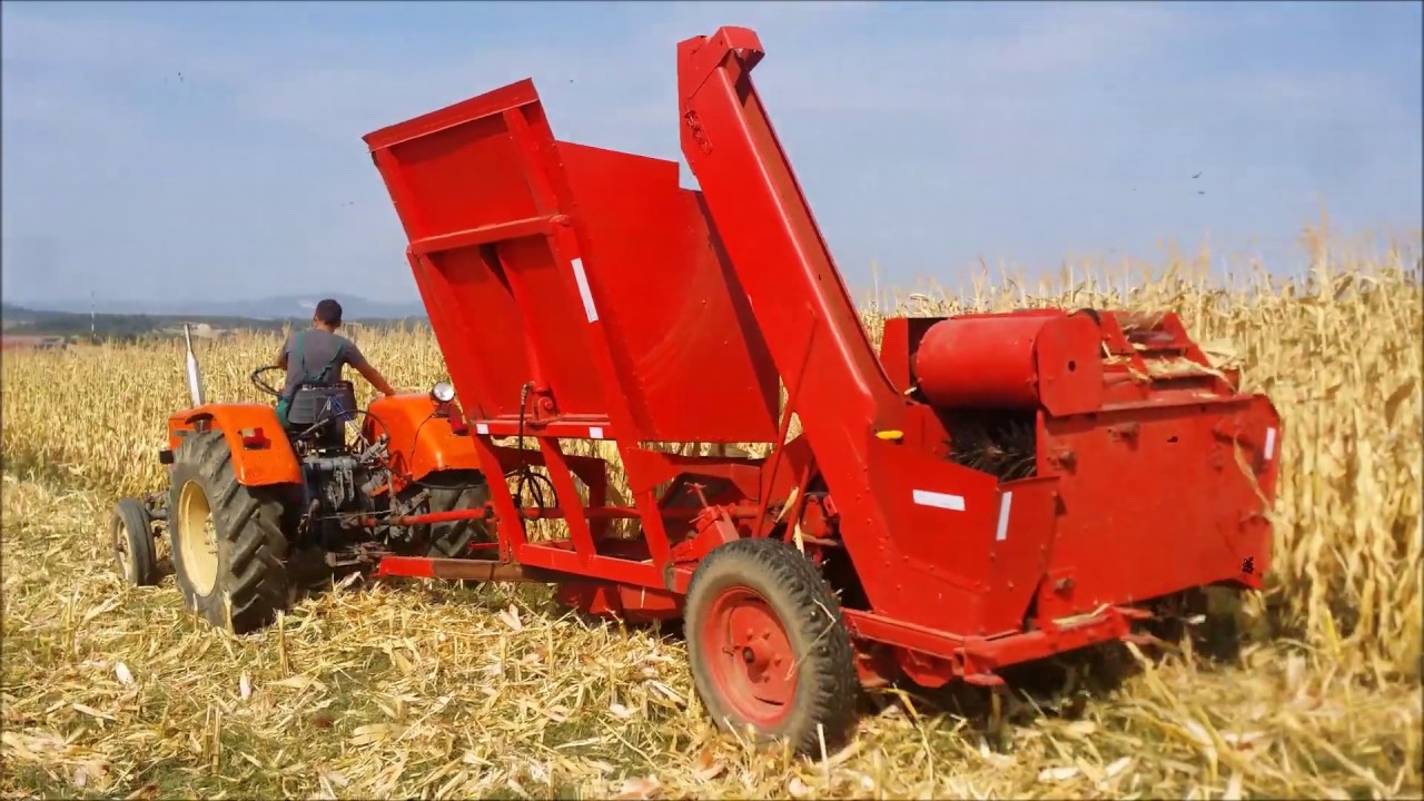ZMAJ 221 I URSUS C355 | BERBA KUKURUZA / CORN HARVEST 2019  Majur, Jagodina