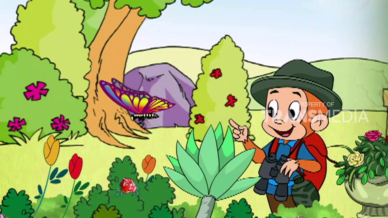 SI KUPU-KUPU CANTIK | DUNIA BINATANG (23/10/17) 3-1